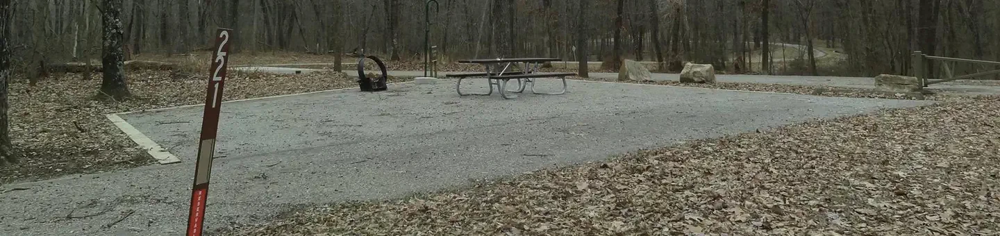 221
