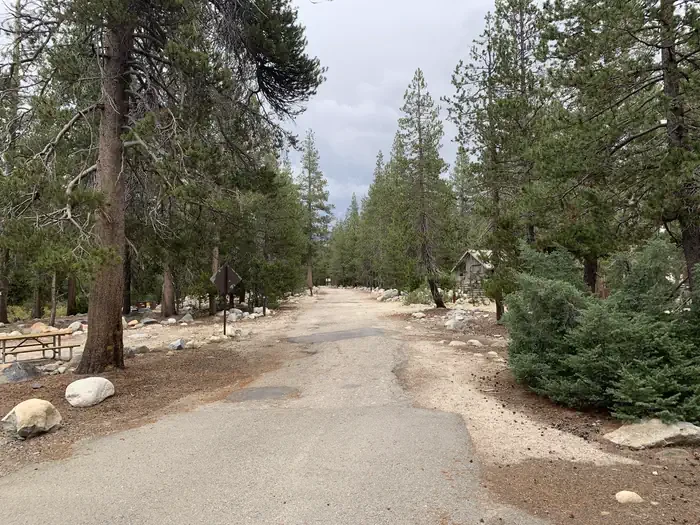 Yosemite Creek Campground