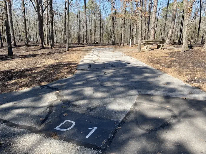 D01