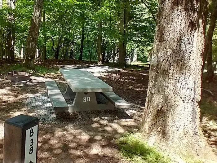 B38