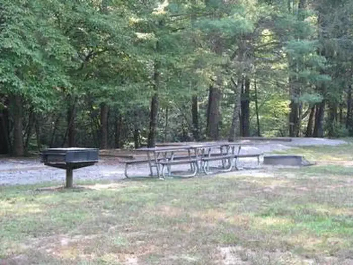 Cataloochee Group Camp