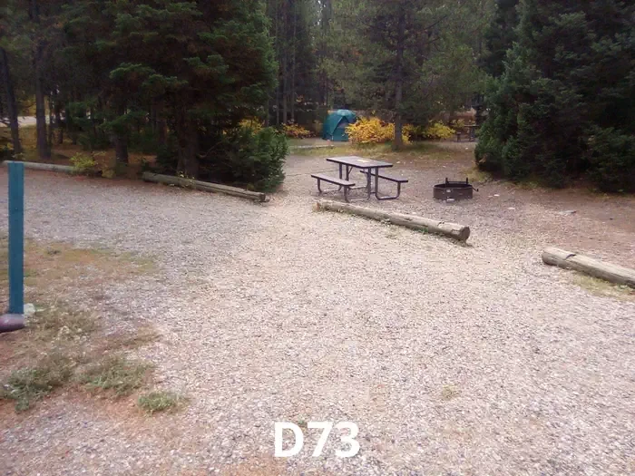 73