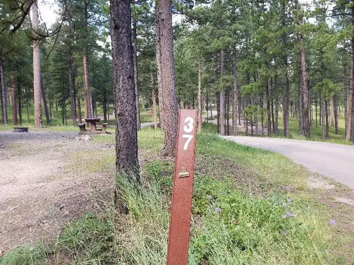 037