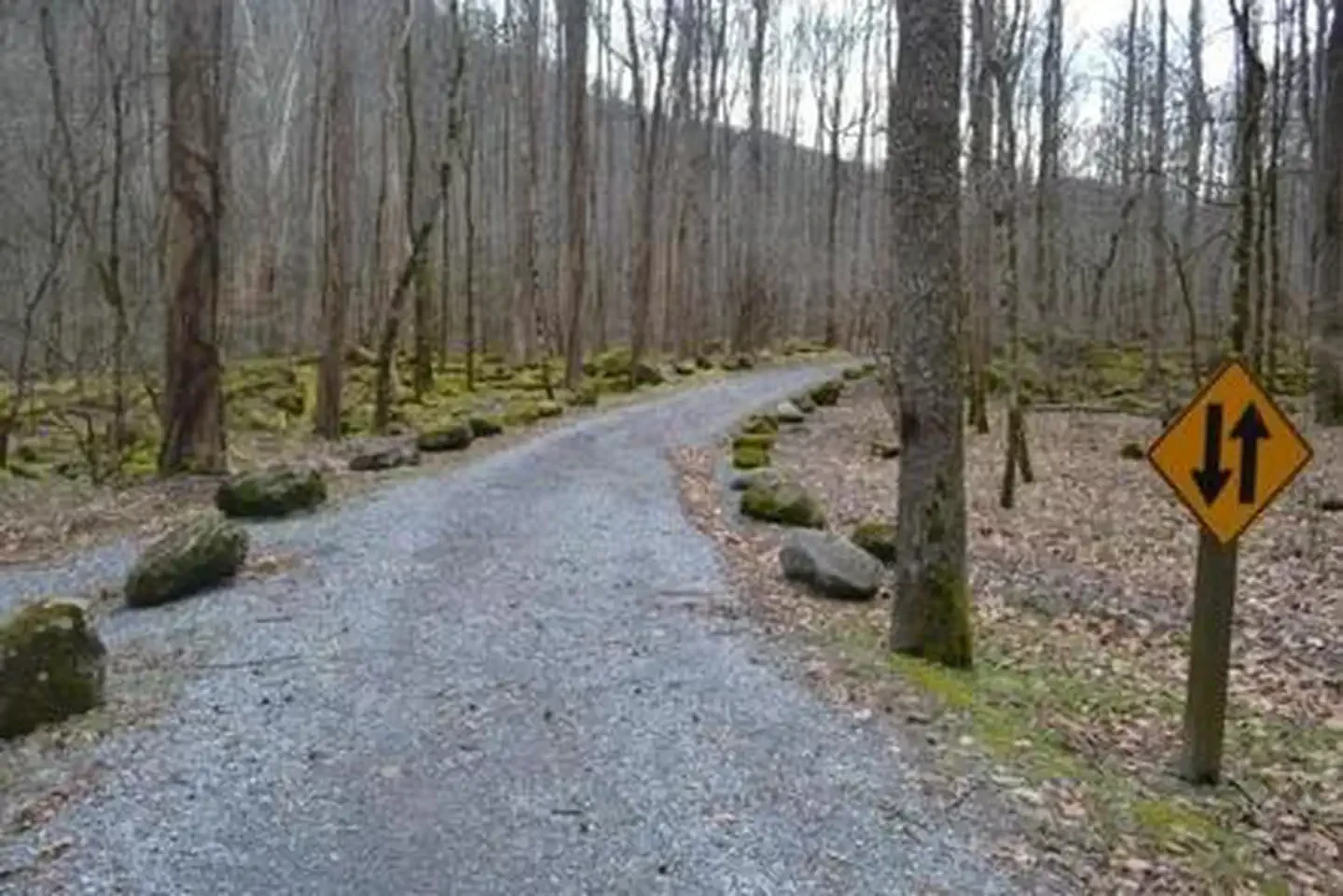 Big Creek Campground (great Smoky Mountains National Park)