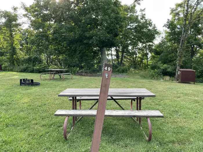 Z049 Don't Use Converted to Group