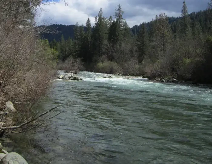 Fiddle Creek