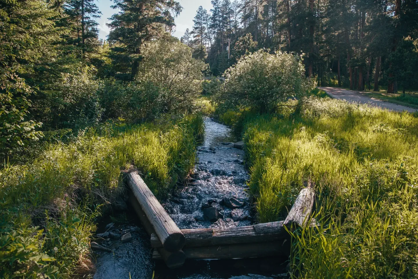 Boxelder Forks Campground