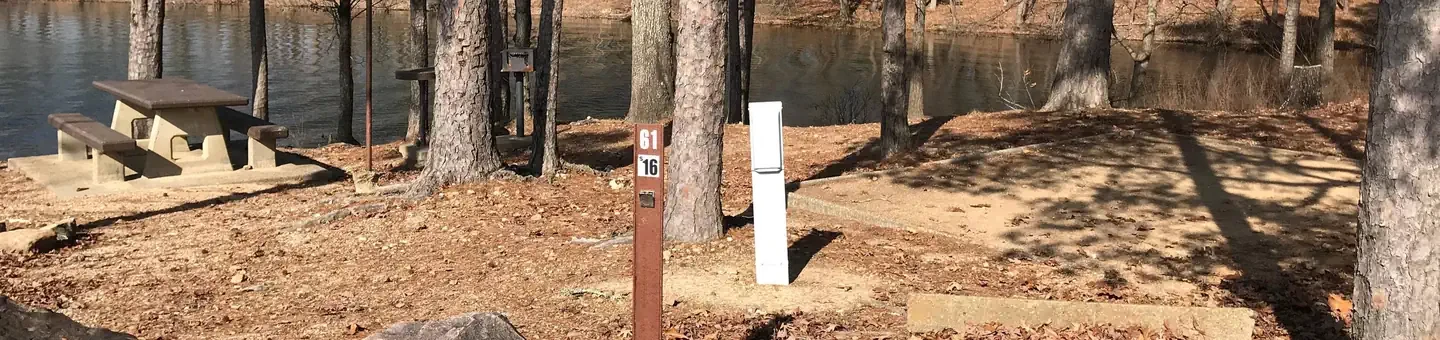 61