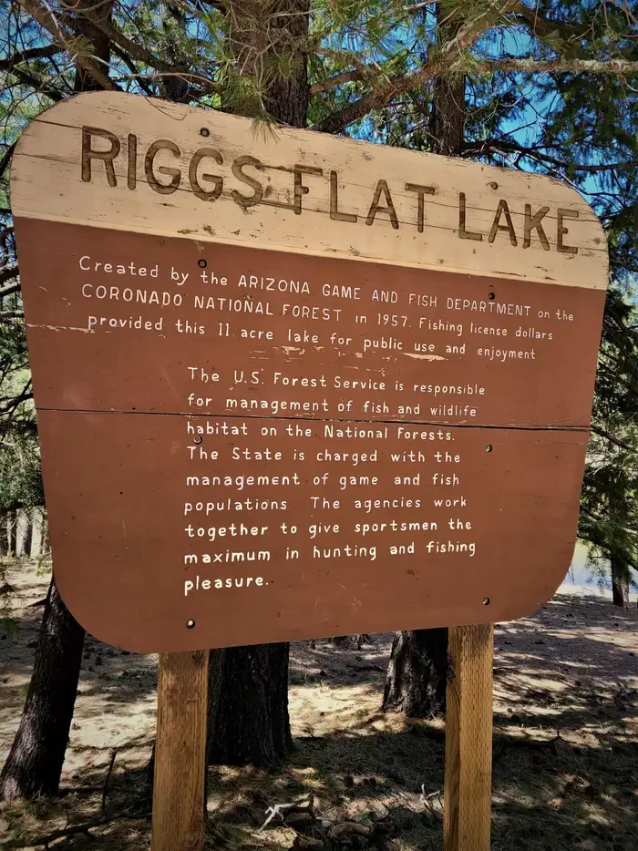 Riggs Lake Group Site