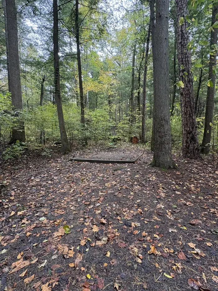 A12