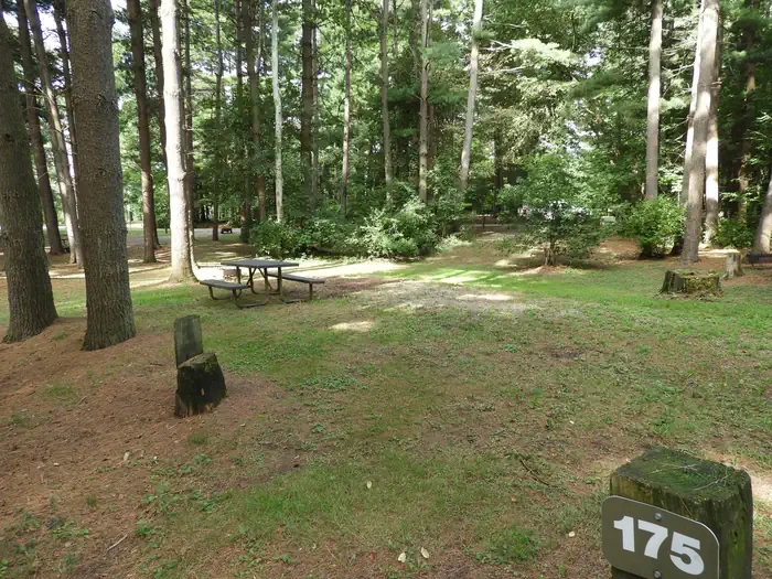 175