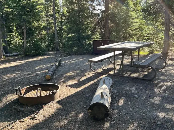 Lewis Lake site #4