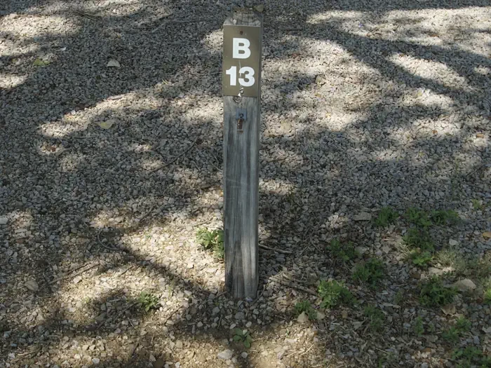 B13