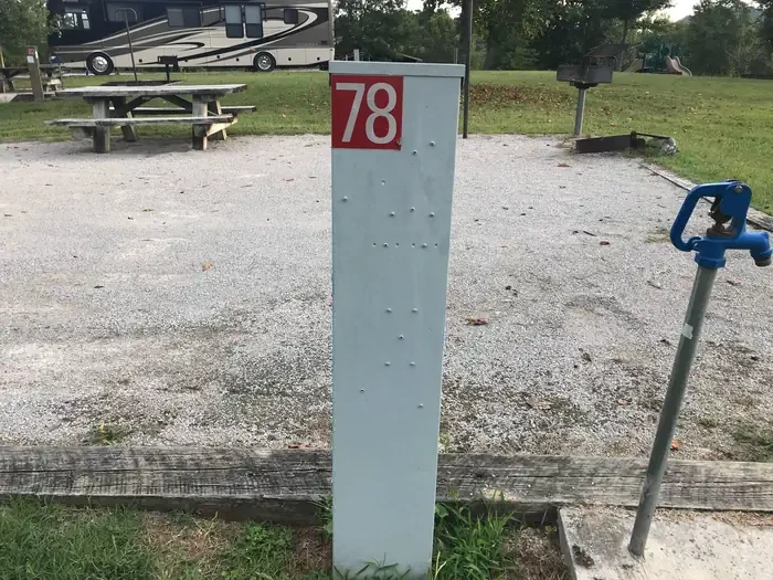 78