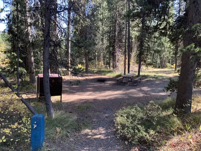 51