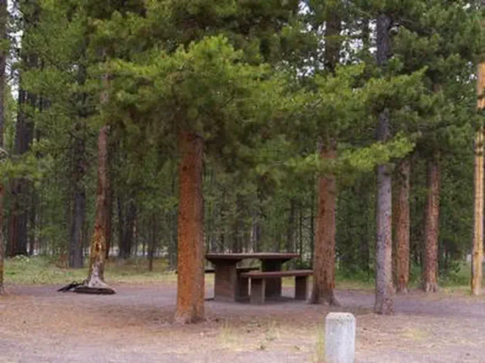 Rainbow Point Campground