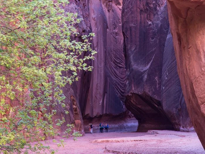 Paria Canyon Overnight Permit
