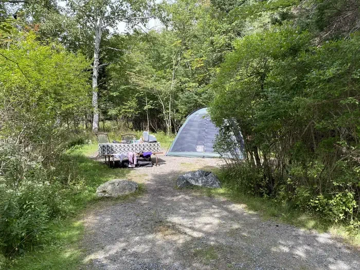 A11