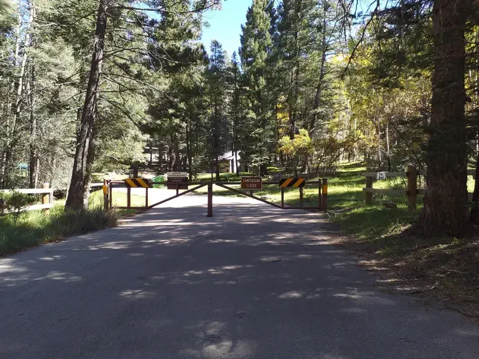 Aspen Group Area (Lincoln National Forest, NM)