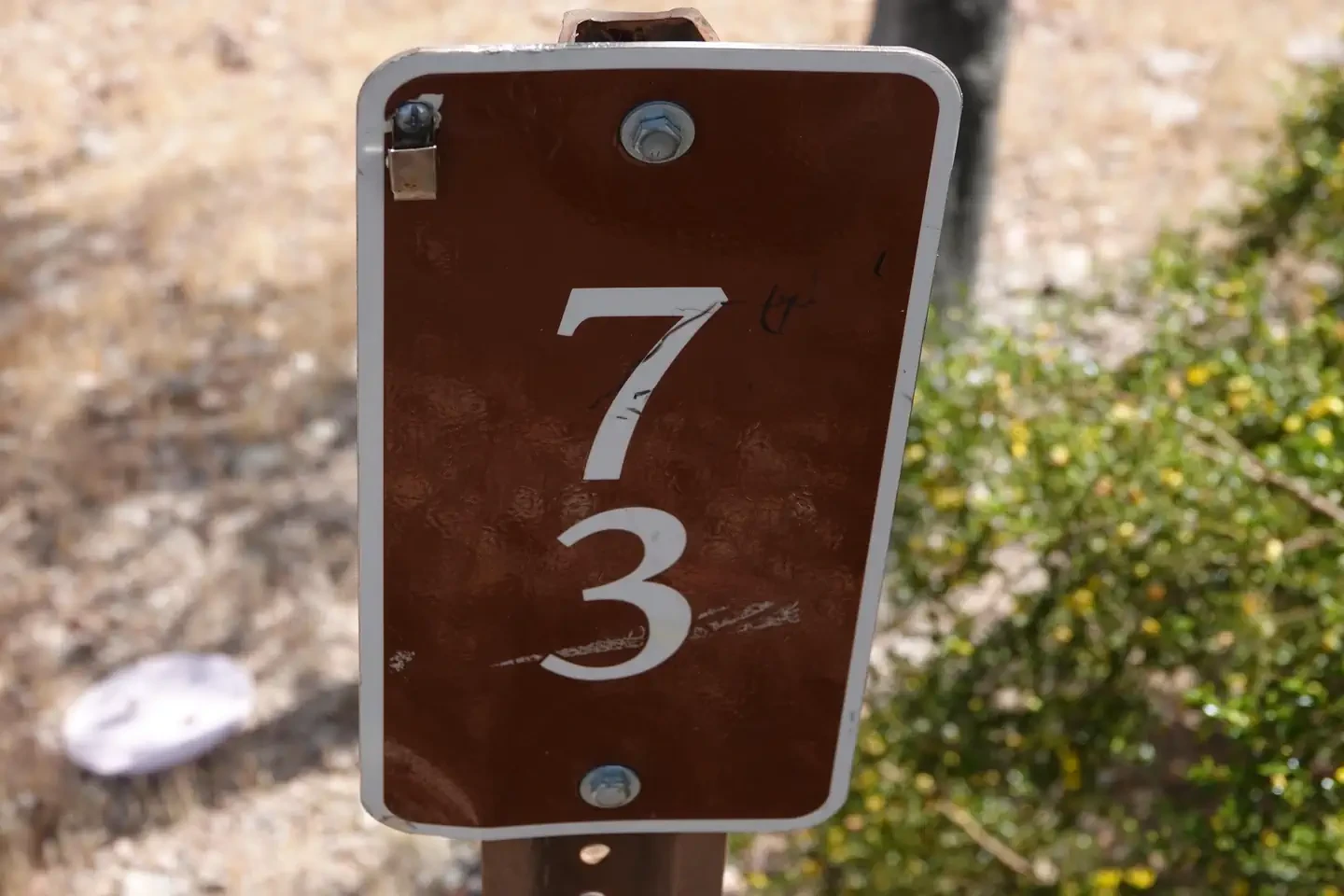 Site 73
