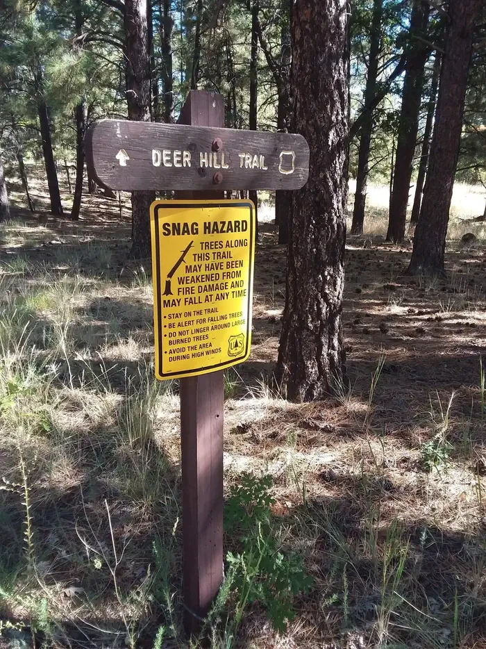 Little Elden Springs Horsecamp