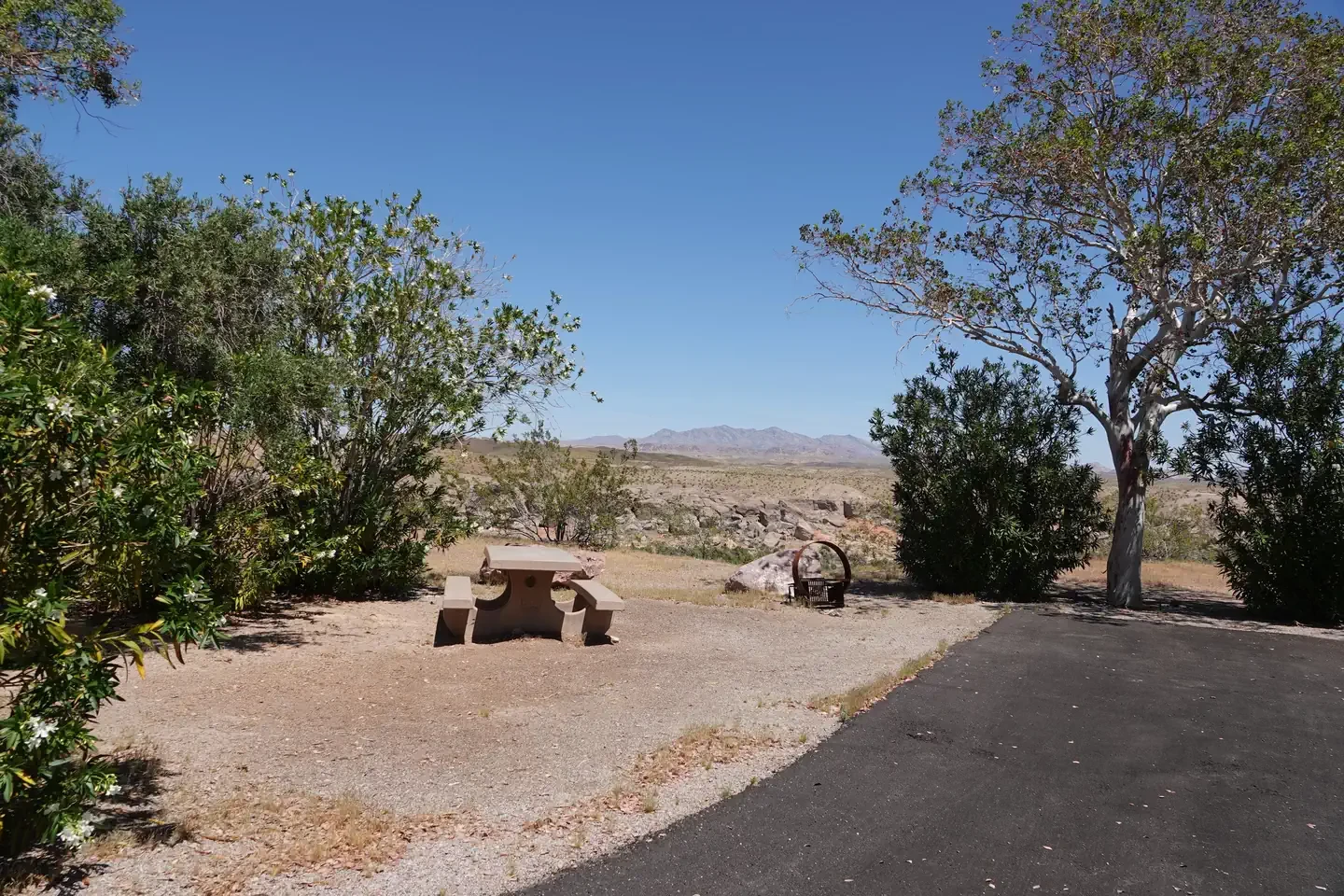 Site 48