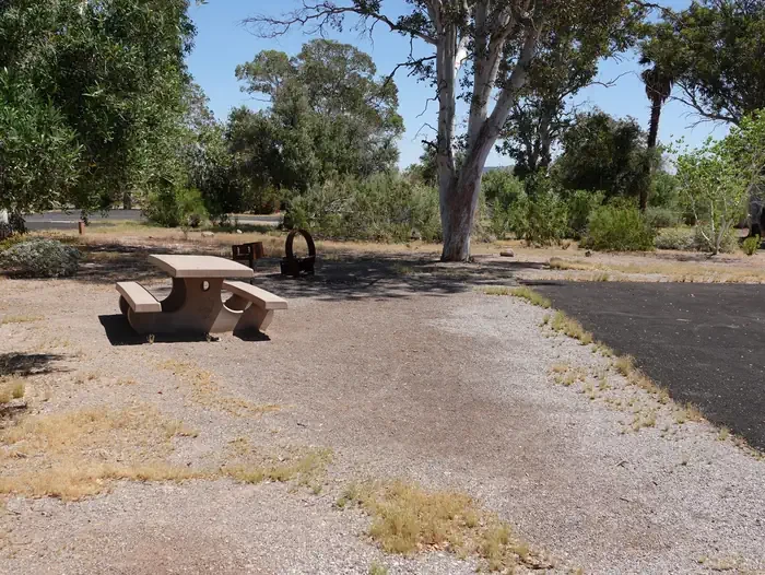 Site 11