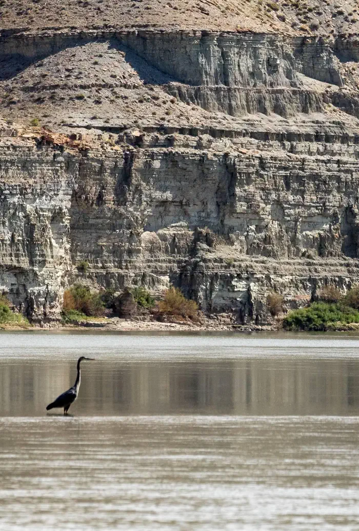 Desolation Gray - Green River Permit