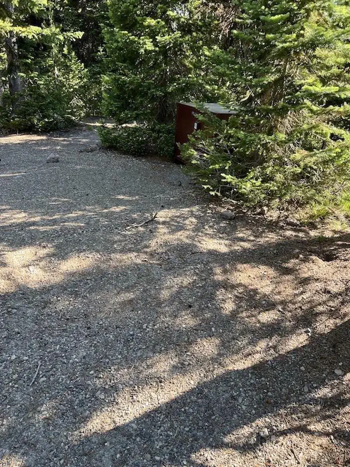 Lewis Lake site #4