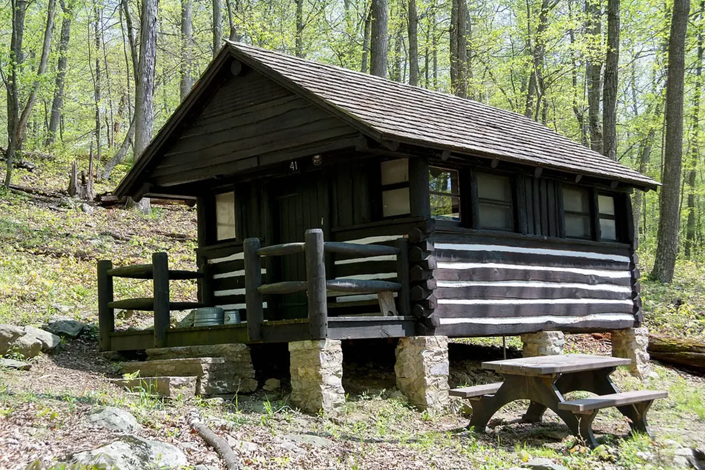 Cabin 41