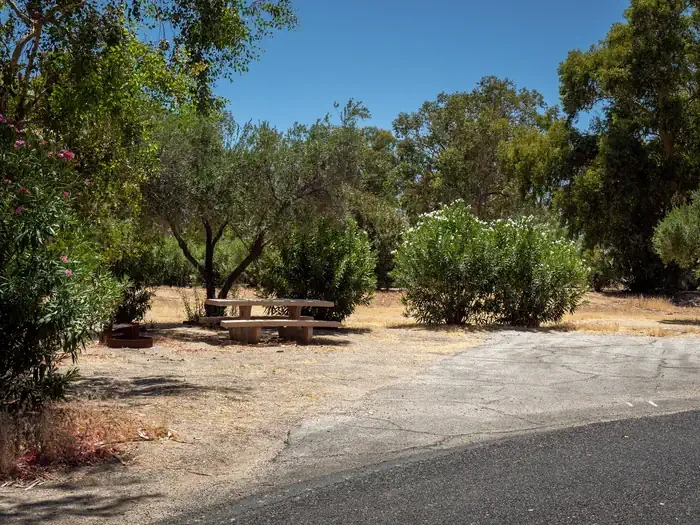 Site 11
