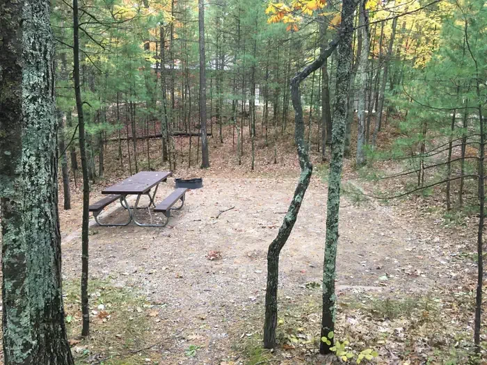 425
