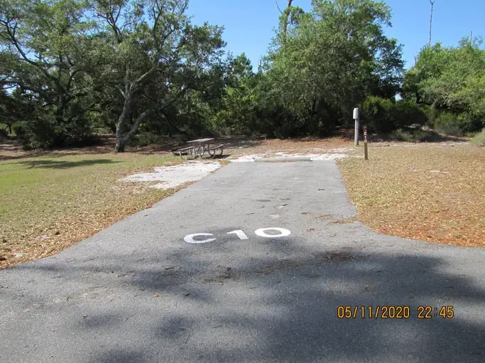 C010