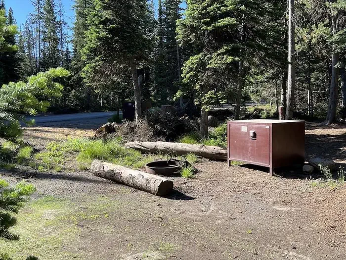 Lewis Lake site #41