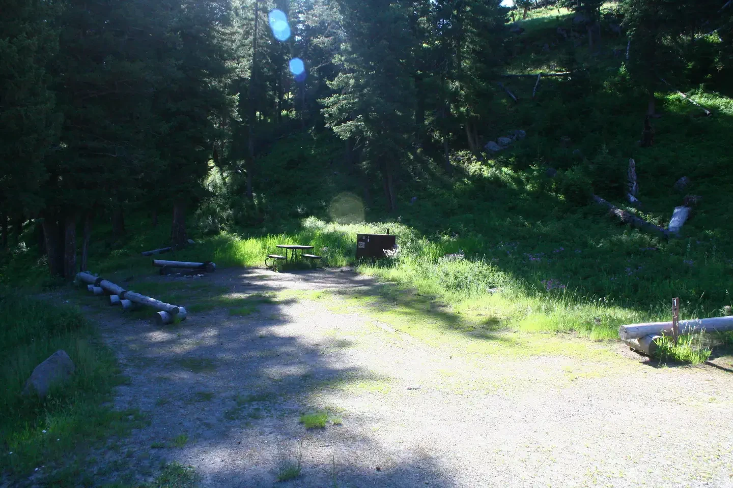 Slough Creek site #1