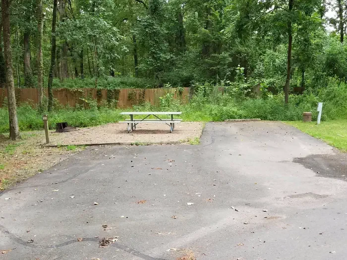 F11