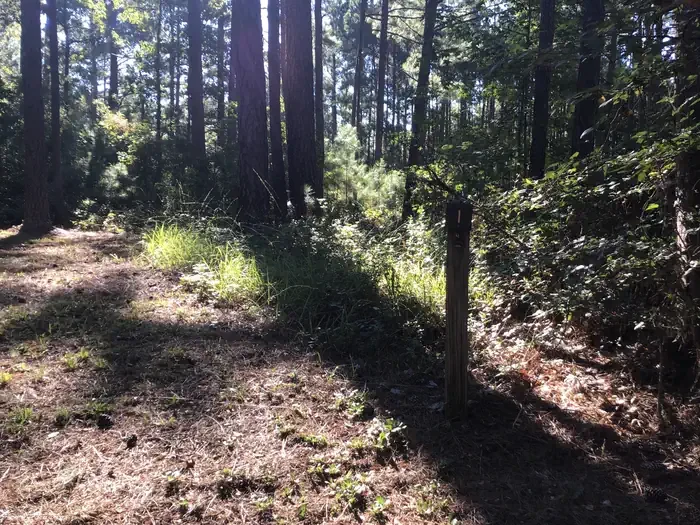 Site 01