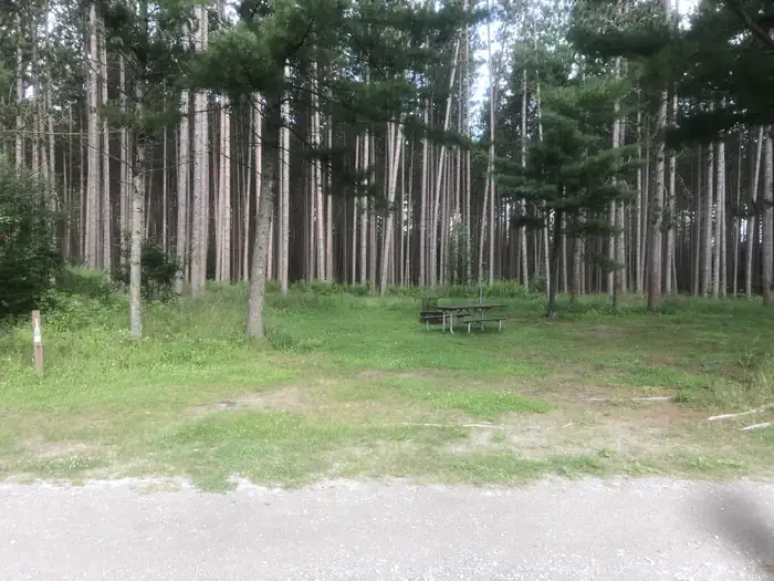 South Branch Trail Camp Group Site