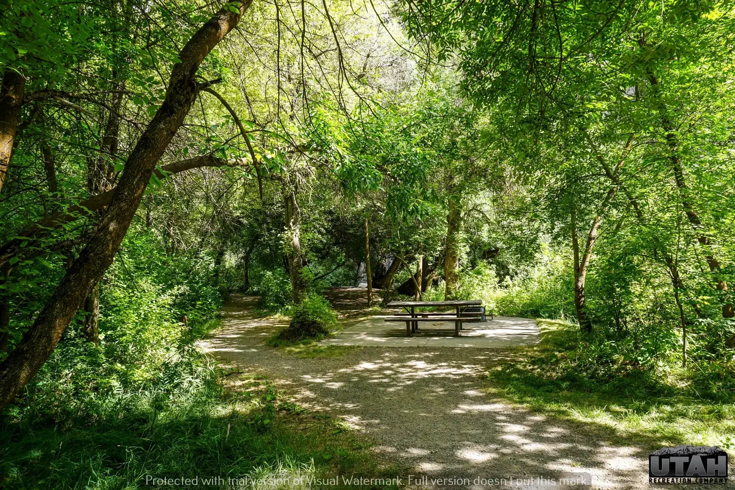 Card Picnic Area