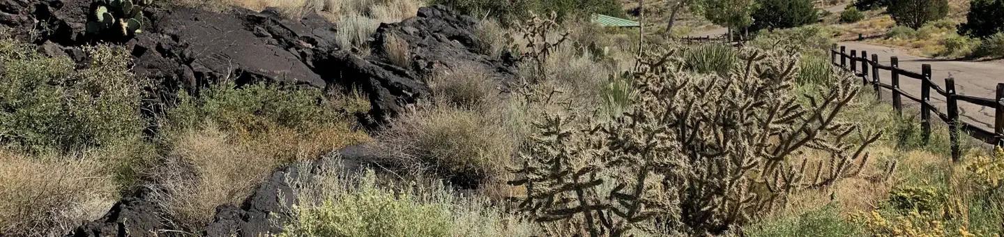 Site 23