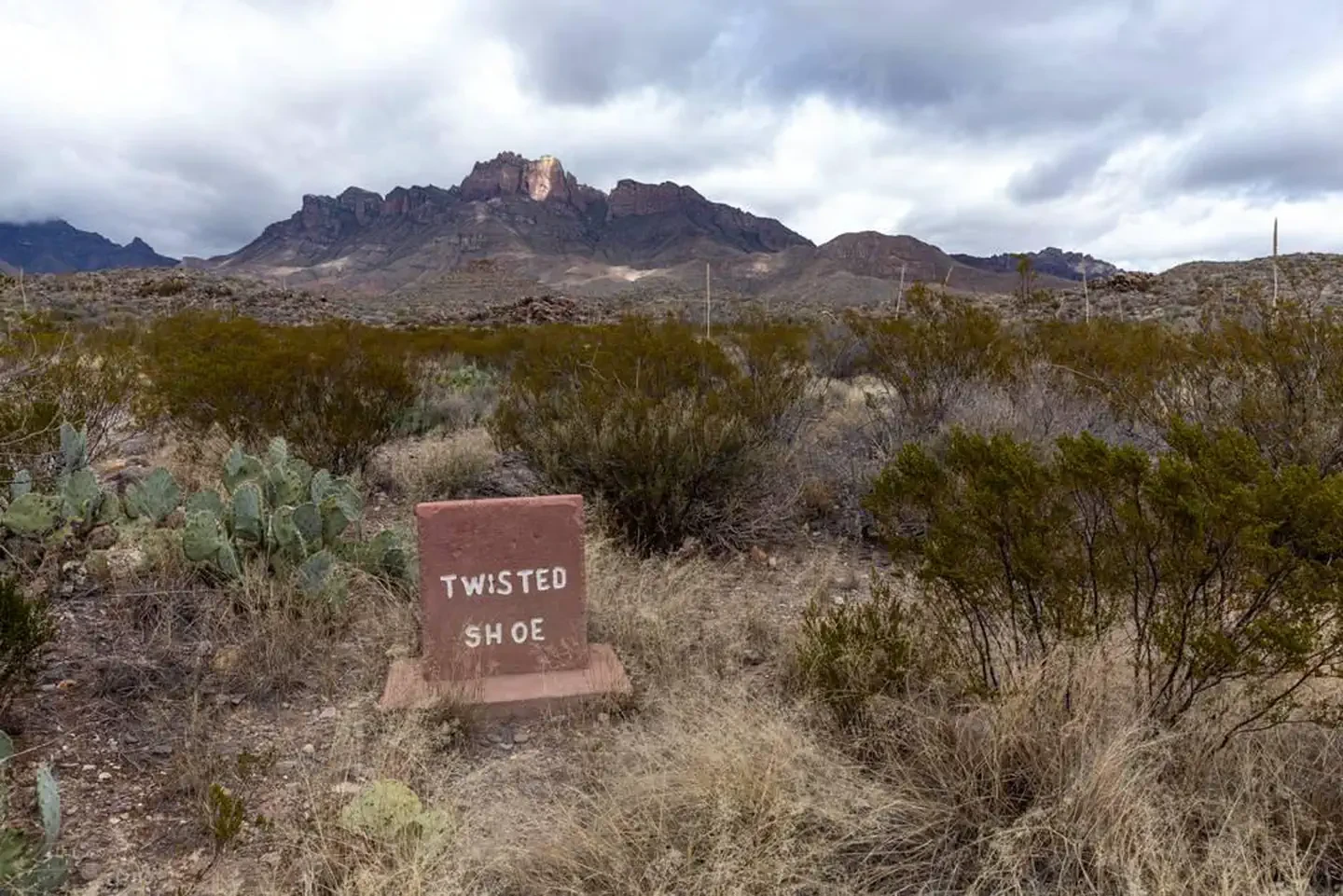 Twisted Shoe