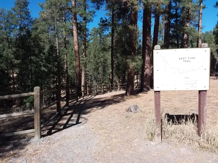 Jemez Falls Campground