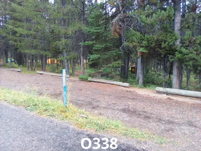 338