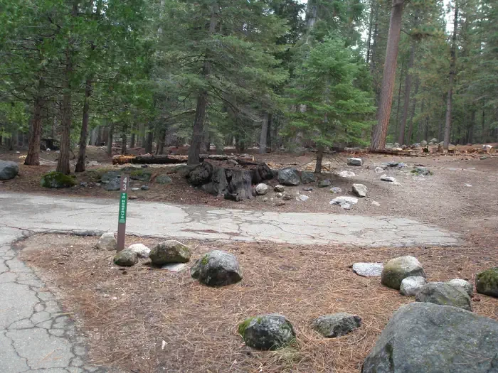 Site: 43
