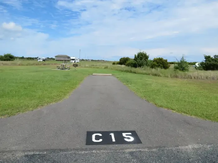 C015