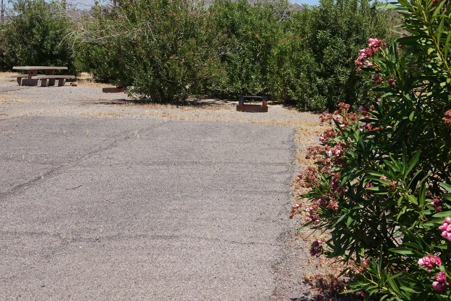 Site 10