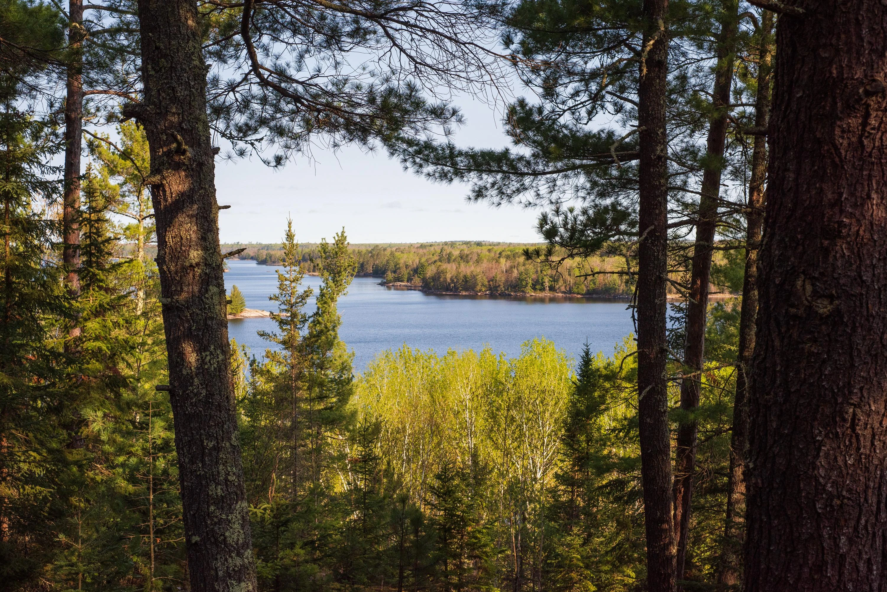 Voyageurs National Park