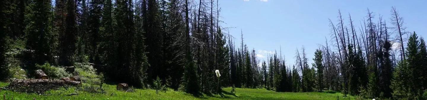 Lost Creek Campground