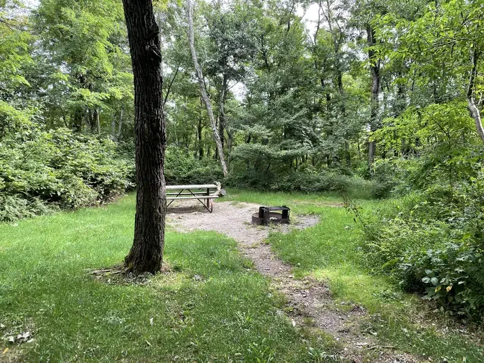 E154