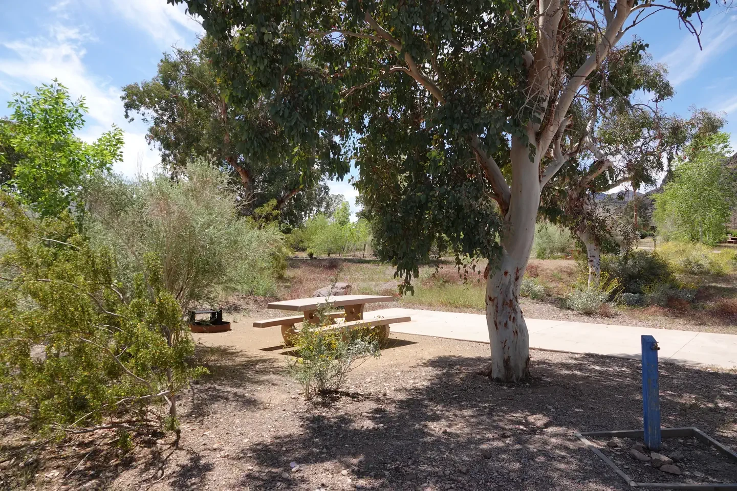 Site 40
